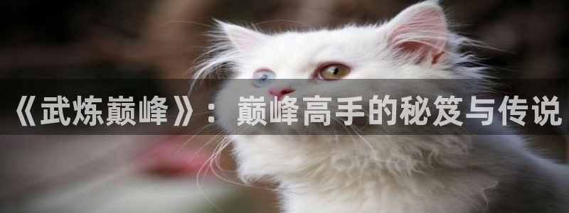 酷漫屋官方app下载